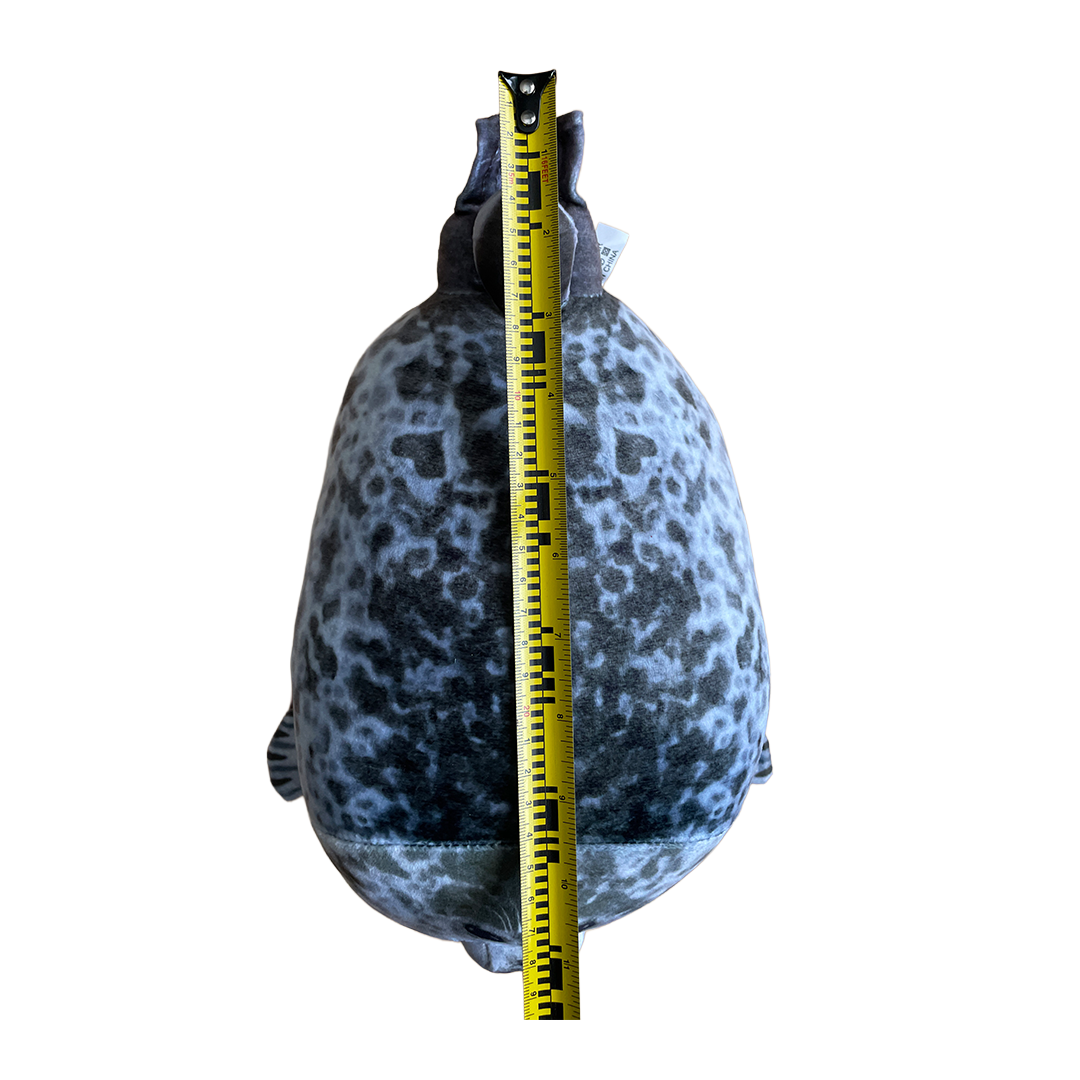 Chubby Seal Plush