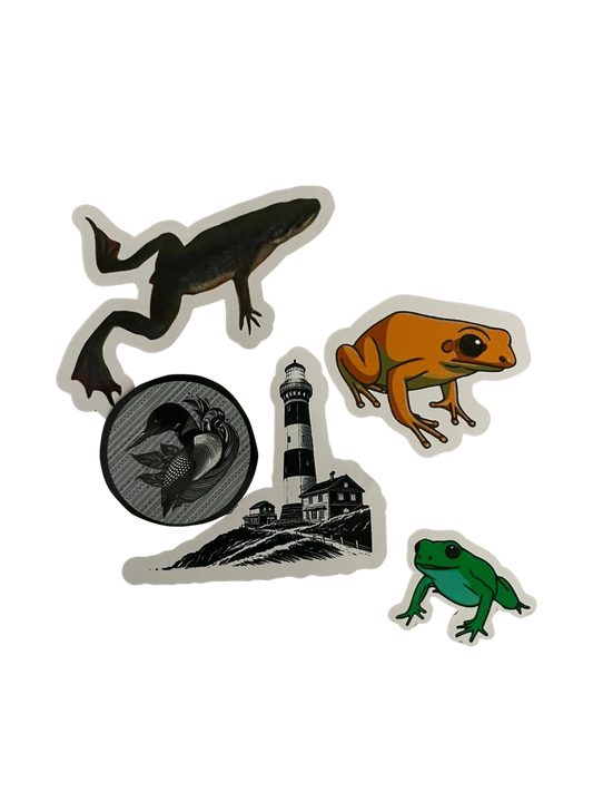 Random Sticker Pack A